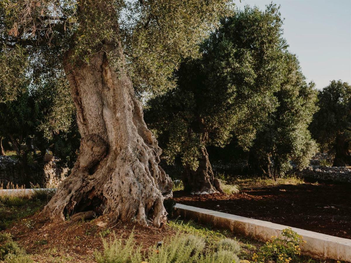 Masseria Dagilupi Остуни Екстериор снимка